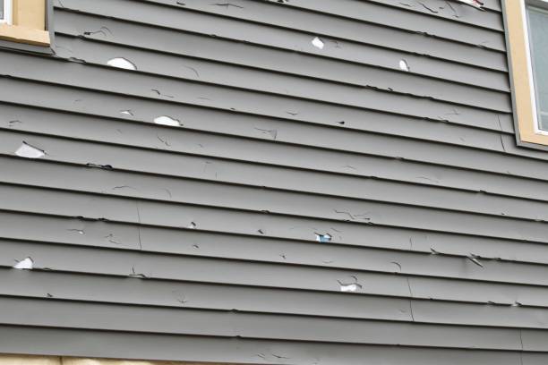 Best Vinyl Siding Installation  in Manatee Road, FL