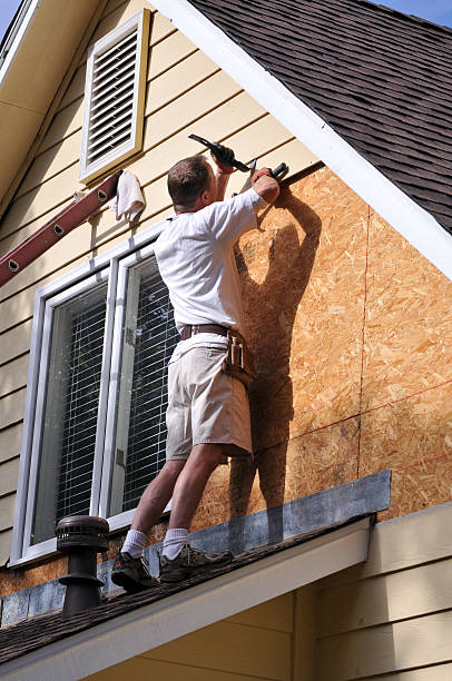 Best Custom Siding Design  in Manatee Road, FL